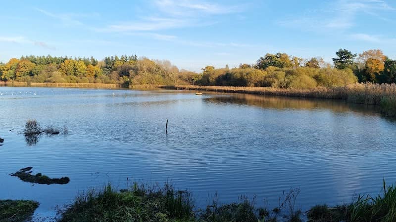 Warnham Local Nature Reserve - Image 1
