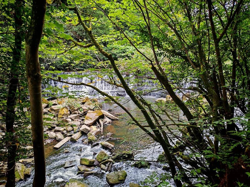 Hoghton Bottoms - Image 2