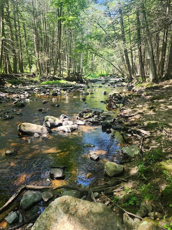 Mashamoquet Brook State Park - Image 1