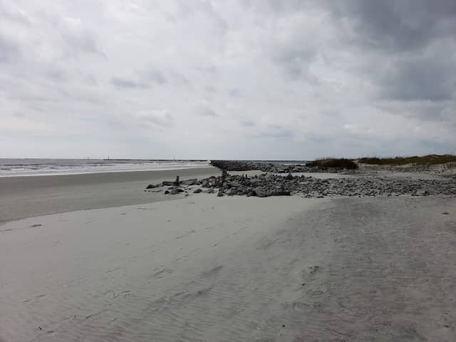 Bird Island Reserve - Image 3