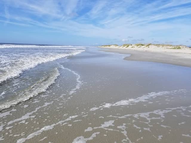 Bird Island Reserve - Image 1