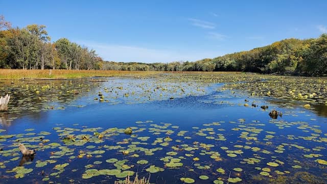 Wildwood Park - Image 2