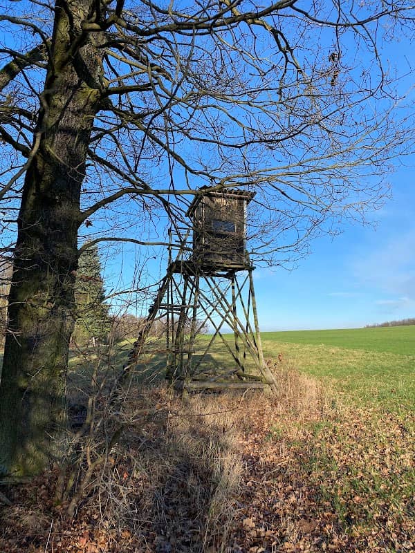 Hochsitz Am Feldeingang Langenbernsdorf - Image 1