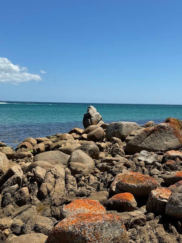 Gorilla Rock - Image 1