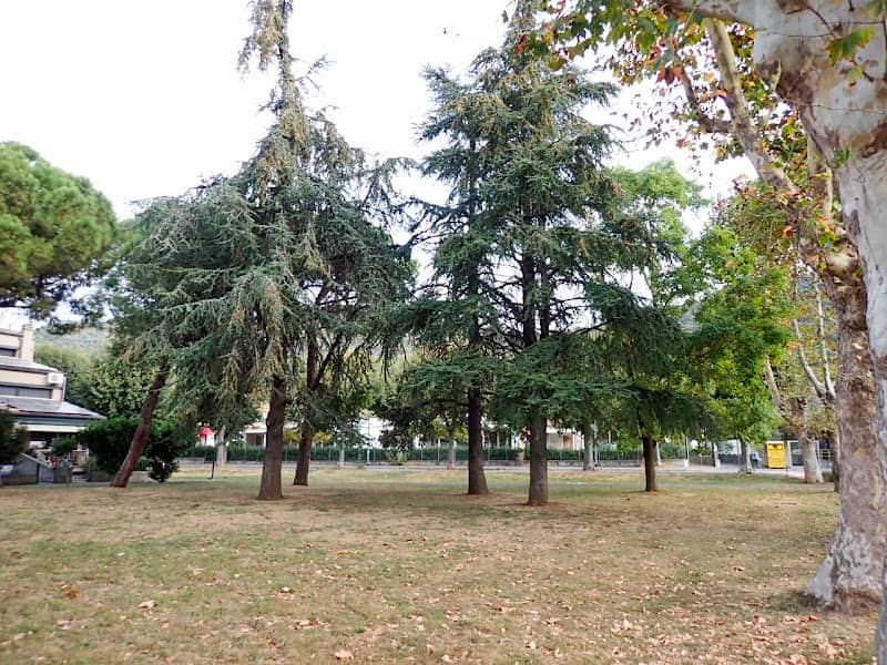 St. Peter's Park - Image 1