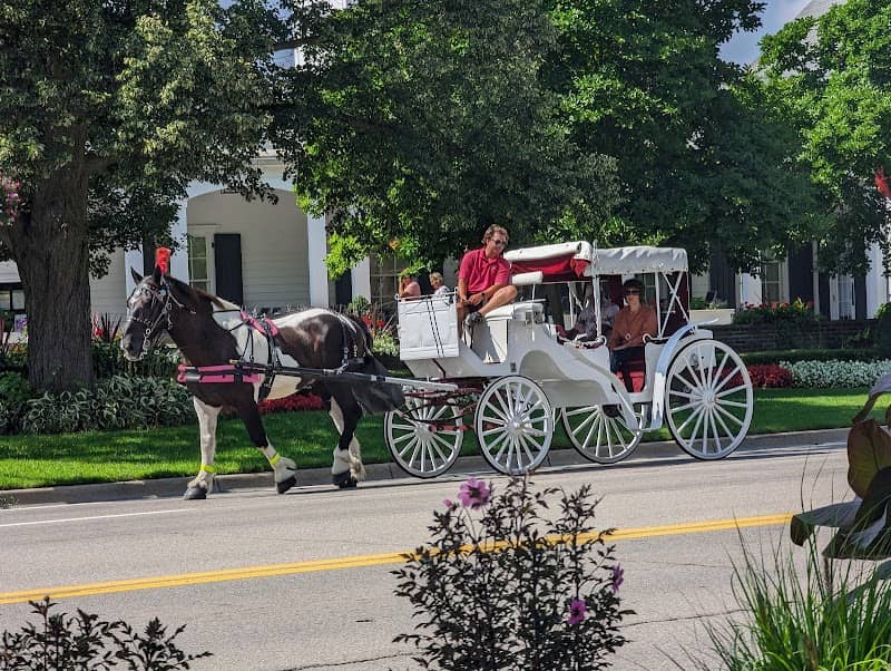 The New Frankenmuth Carriage Company - Image 1