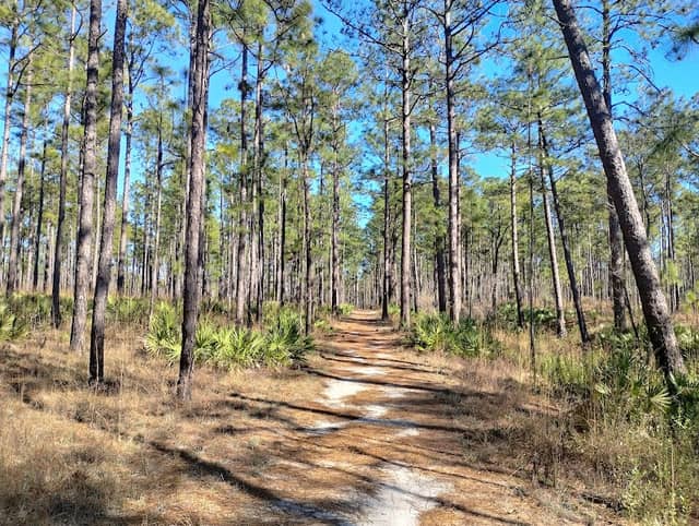 Tuxachanie Hiking Trail (West End Trailhead) - Image 1