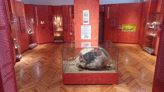 Stadtmuseum Mainburg - Image 2