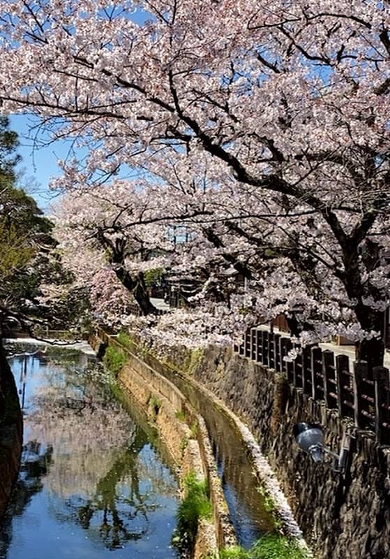 東山遊歩道 - Image 2