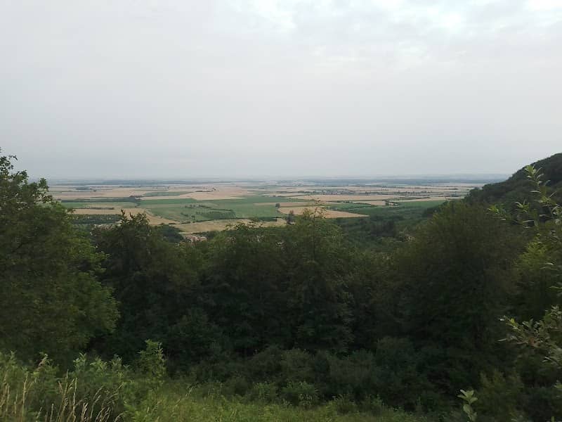 Point de vue - Image 1