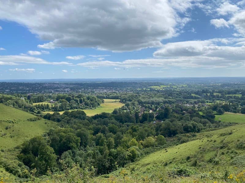 Surrey Hills National Landscape - Image 1