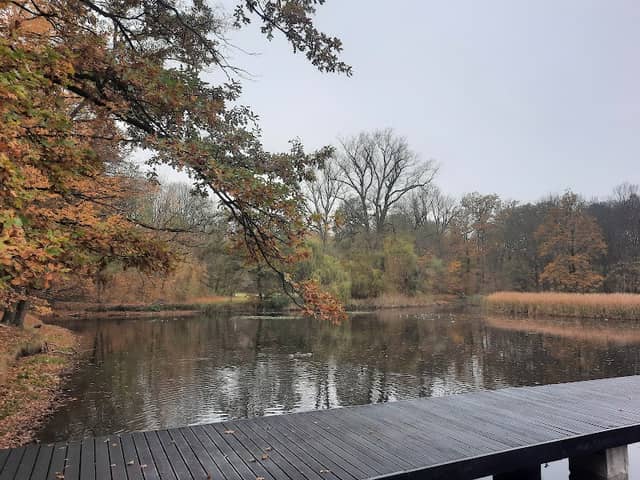 Wyspa "Gęgawa" - Image 1