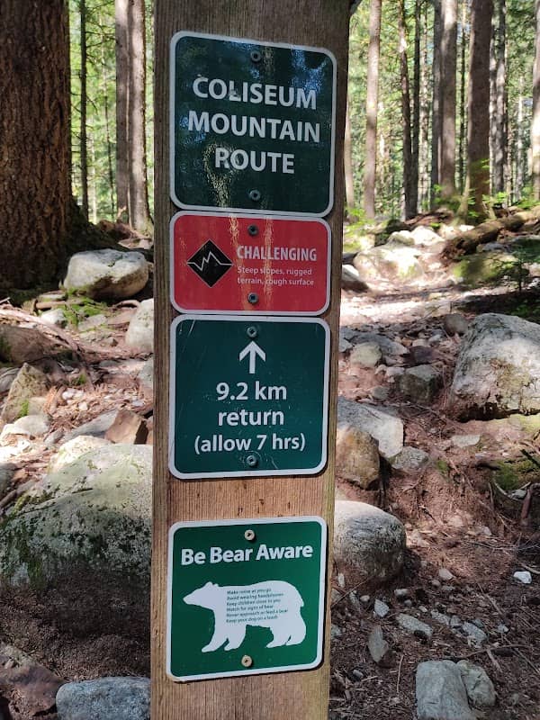Coliseum Mountain Trail Junction - Image 1