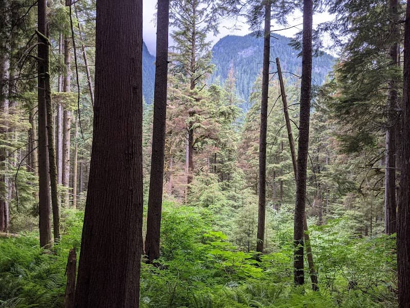 Coliseum Mountain Trail Junction - Image 3
