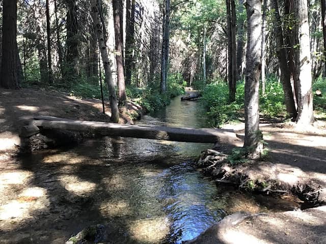 Elsa Rupp Nature Study Area - Image 1