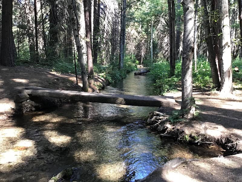 Elsa Rupp Nature Study Area - Image 1
