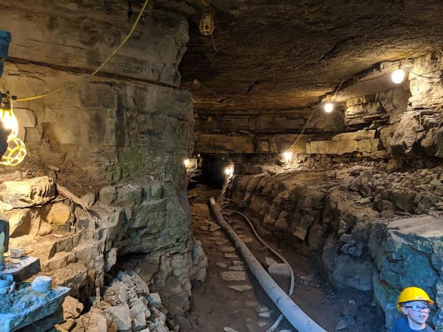The Cave House Museum of Mining & Geology - Image 2