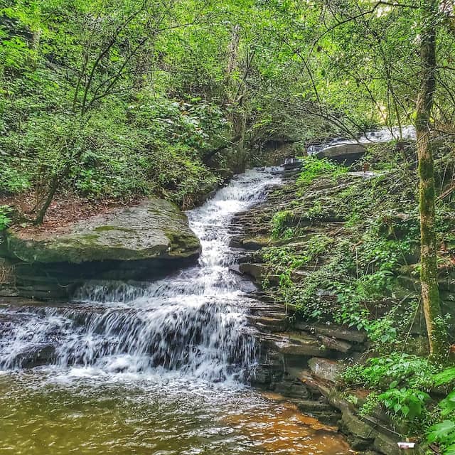 Nectar Falls - Image 1