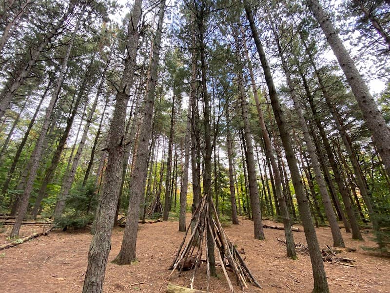 Laurentian Escarpment Conservation Area - Image 2