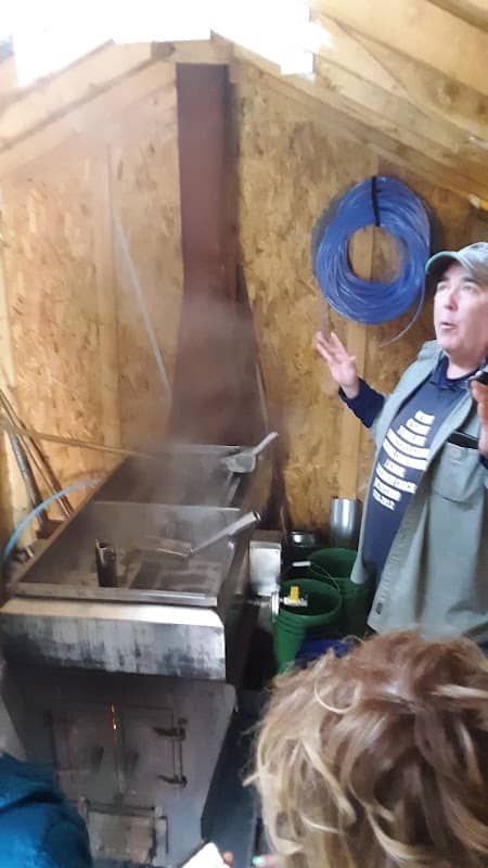 Hills Creek Maple Syrup House - Image 3