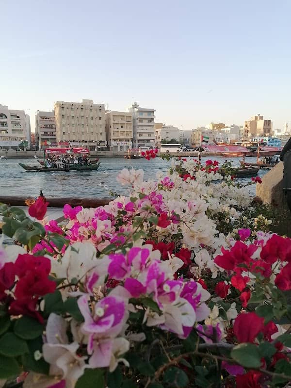 Deira Creek 🛥️ - Image 3
