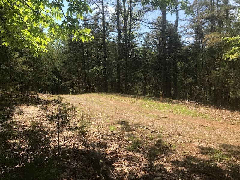 Uncas Nature Trail - Image 1