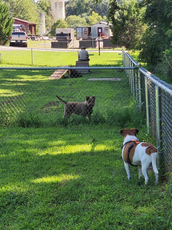 Motz Avenue Dog Park - Image 1