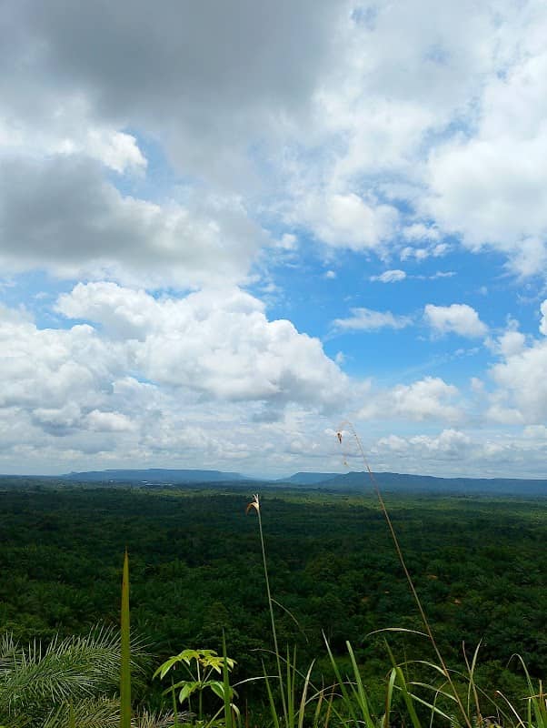 Bukit yankalis - Image 1