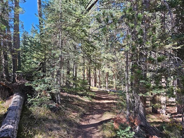 Happy Jack Recreation Area Trailhead - Image 1