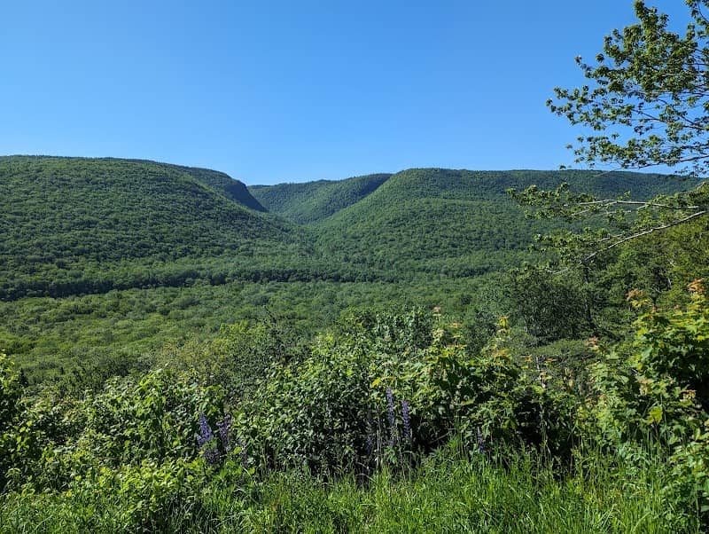 North Mountain look-off - The Aspy Fault - Image 1