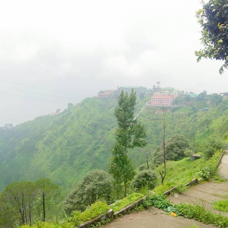 Lover's Point, Kasauli - Image 1