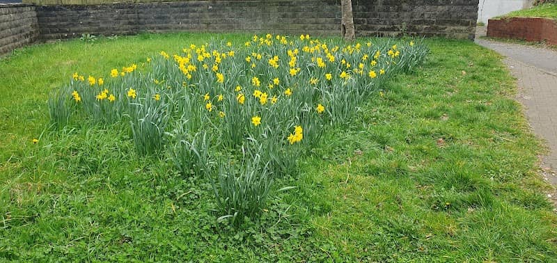 Green space - Image 2