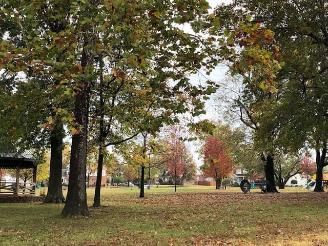 Buschmann Park - Image 1