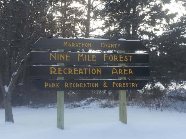 Nine-Mile Forest Recreation Area | Cross-Country Skiing and Snowshoeing - Image 1