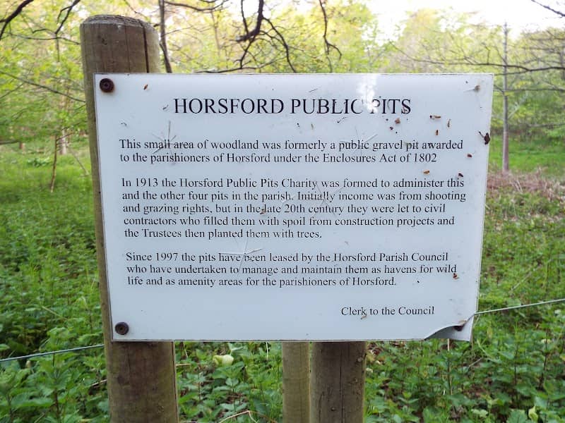 Horsford Public Pits. Dog Lane Plantation - Image 1