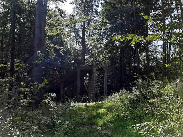 Dawny Stok Narciarski - Image 1