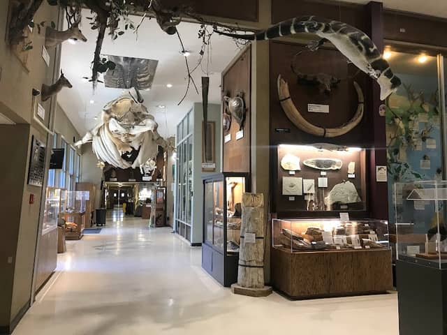 Sierra College Natural History Museum - SCNHM - Image 2