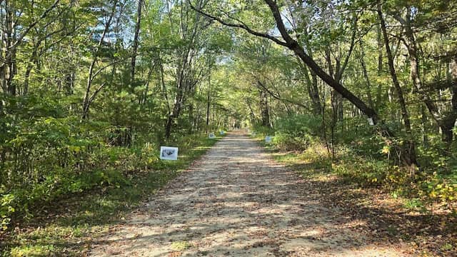 Southern New England Trunkline Trail Franklin Trailhead - Image 1