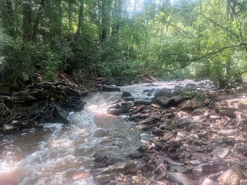 Fonferek's Glen Brown County Park - Image 1