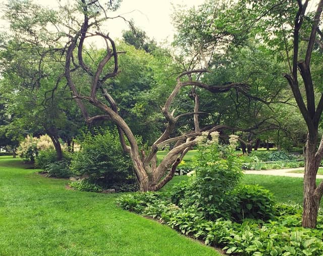 Crane Park - Image 1