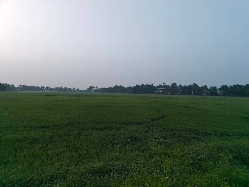 Nature Beauty - Image 1