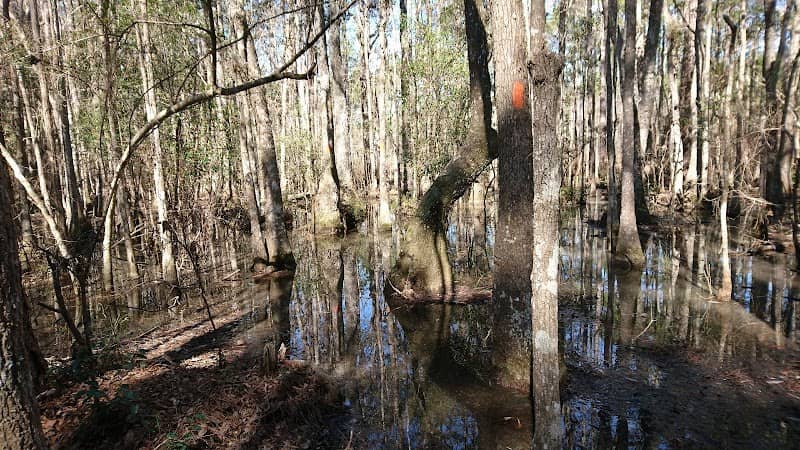 Florida Trail Savannah Trailhead - Image 1