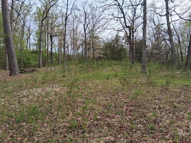 Amherst Wayside - Image 1