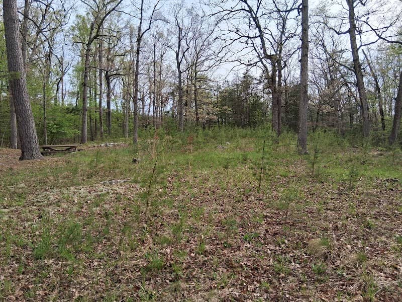 Amherst Wayside - Image 1