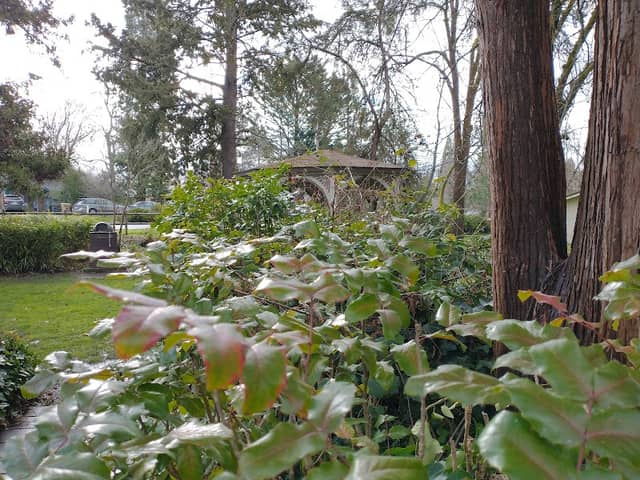 Ogle Park - Image 2