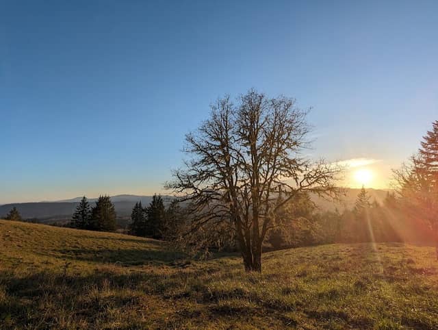 Fitton Green Natural Area - Image 1