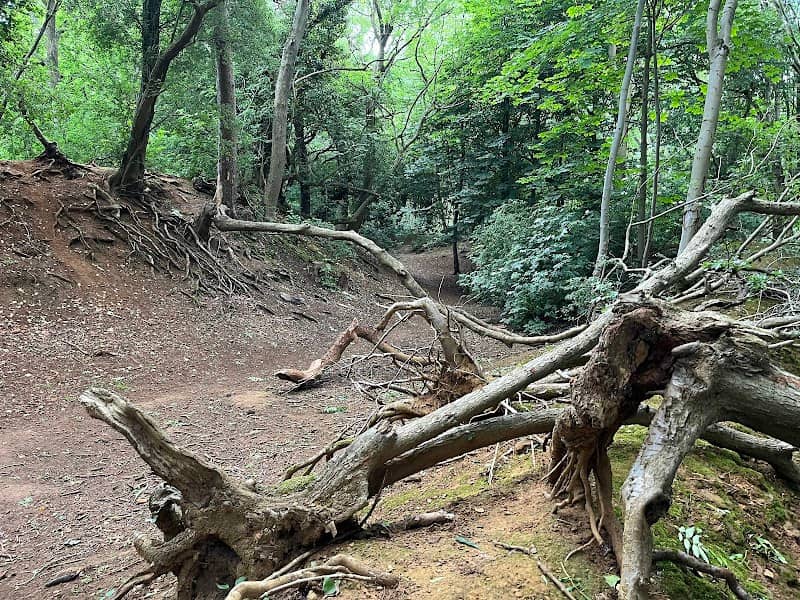 Hunsbury Hill - Image 2