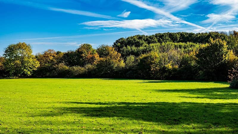 Hunsbury Hill - Image 1