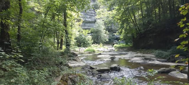 Town Branch Falls - Image 1
