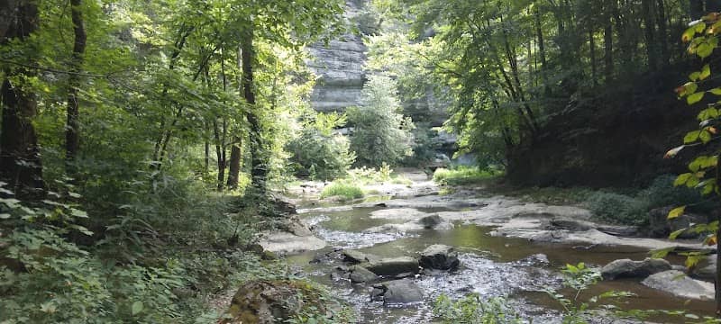 Town Branch Falls - Image 1